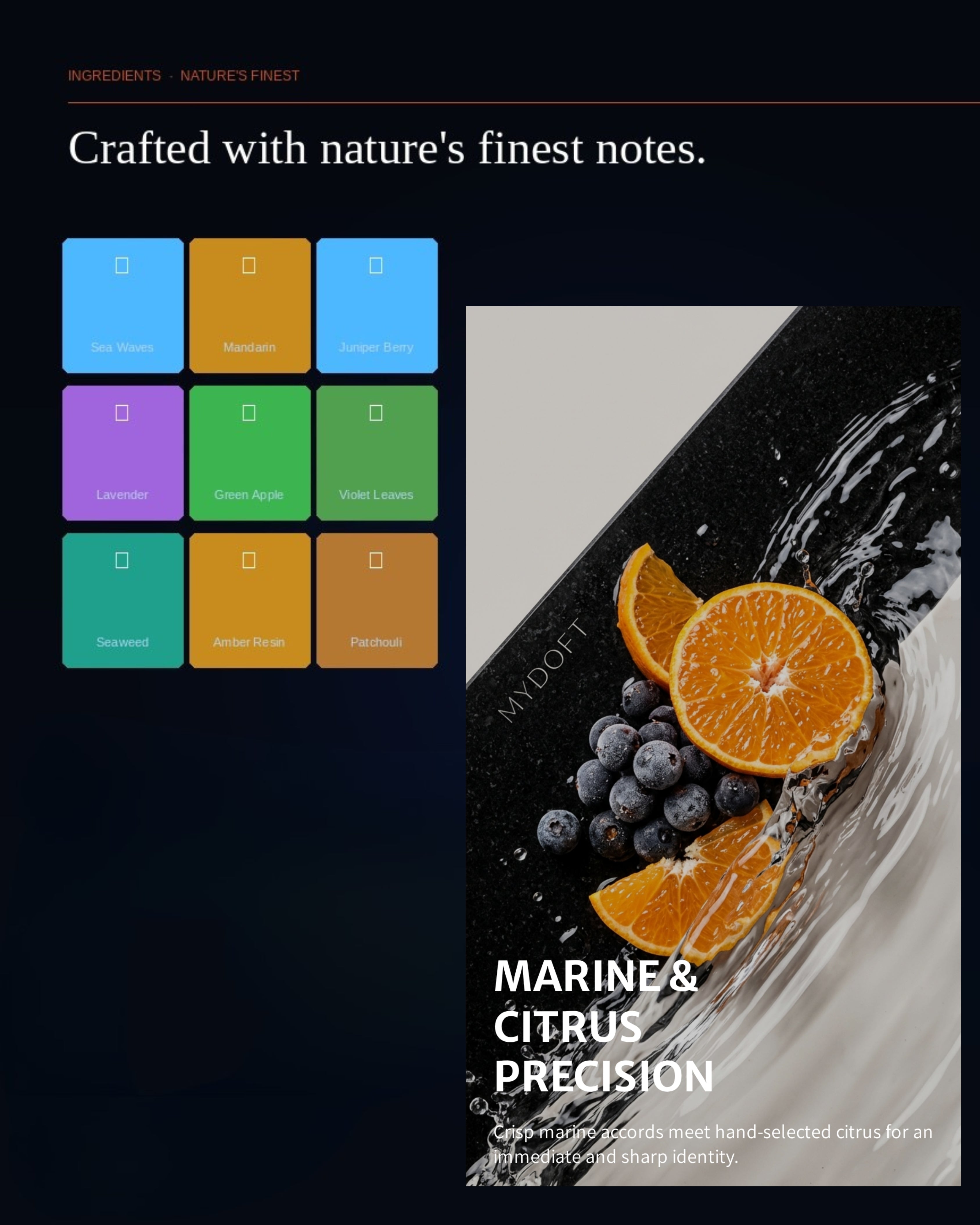 MYDOFT Sky Elixer | Extrait de Parfum | Aromatic Marine, Ozonic & Citrus Fresh Woody Amber Perfume | Unisex